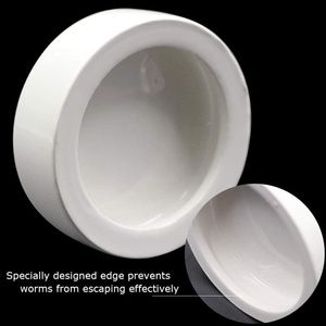 White Ceramic Reptile Food Dish